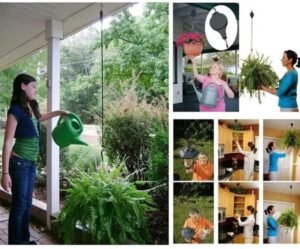 Poulie réglable pour plantes à suspendre facilement.