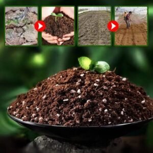 ameliorez votre jardin avec notre activateur de sol 200g fertilizer 329 1