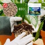 Améliorez Votre Jardin Avec Notre Activateur De Sol De 200g