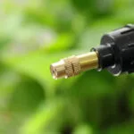 Arrosoir à Fleurs: Vaporisateur Pour Un Arrosage Précis Et Doux