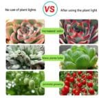 Bande Led Pour Plantes: Votre Grow Light Idéal Partout!