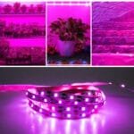 Bande Led Pour Plantes: Votre Grow Light Idéal Partout!