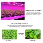 Bande Led Pour Plantes: Votre Grow Light Idéal Partout!