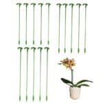 Bâtons De Support Pour Plantes - Idéal Pour Votre Jardin