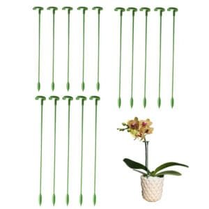 Bâtons De Support Pour Plantes - Idéal Pour Votre Jardin