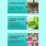 batons nutritifs pour plantes ideaux tous vos cultures plant fertilizers 622 1