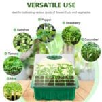 Boîte De Semis Pratique Pour Favoriser La Germination Des Plantes