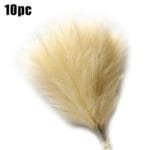 Bouquet De Graminées Pampas Artificielles Pour Décor élégant - Jx10