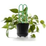 Cadre De Plantation Pour Plantes Grimpantes – 3pcs