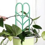 Cadre De Plantation Pour Plantes Grimpantes – 3pcs