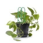 Cadre De Plantation Pour Plantes Grimpantes – 3pcs