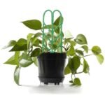 Cadre De Plantation Pour Plantes Grimpantes – 3pcs