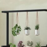 ce support a plantes elevera votre jardin dinterieur avec style black 556 1