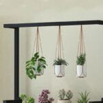 Ce Support à Plantes élèvera Votre Jardin D’intérieur Avec Style - Noir
