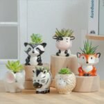ceramic succulent pots with drainage hole for healthy growth 429 1