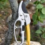 cisailles de jardin avec mecanisme a cliquet pour branches epaisses pruning tool 707 1
