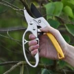 cisailles de jardin avec mecanisme a cliquet pour branches epaisses pruning tool 874 1