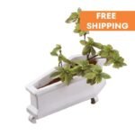 coffin planter pot loriginalite funebre pour votre jardin 996 1