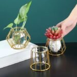 Vase hydroponique contemporain en fil de fer et en verre