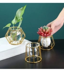 Vase Hydroponique Contemporain En Fil De Fer Et En Verre - o