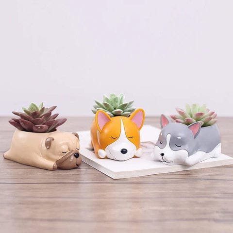 Pots de Plante Chien Succulent