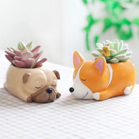 Pots de Plante Chien Succulent