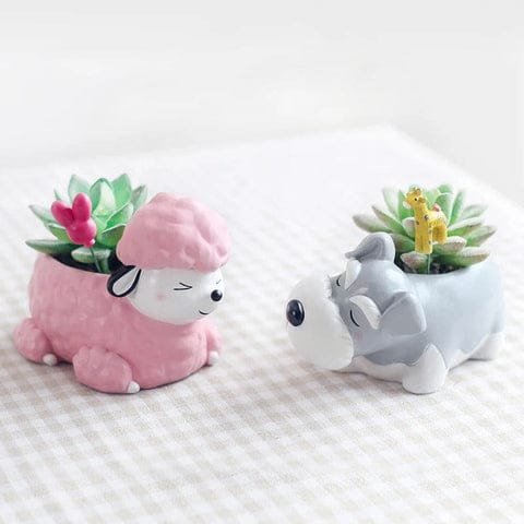 Pots de Plante Chien Succulent