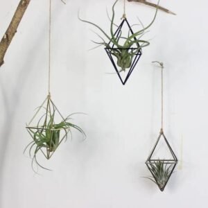 durable diamond hanging planters for long lasting greenery 375 1