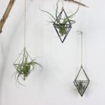 durable diamond hanging planters for long lasting greenery 896 1