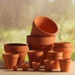 Mini Pots De Fleurs Rouges Durables Pour Une Croissance Vibrante Des Plantes