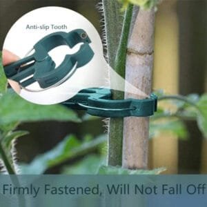 Clips Pour Plantes Réutilisables Et Durables Pour Un Soutien Et Une Croissance Faciles Des Plantes.