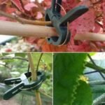 durable reusable plant clips for easy support and growth 304 1