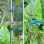 durable reusable plant clips for easy support and growth 921 1