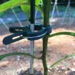 durable reusable plant clips for easy support and growth 989 1