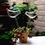 Ampoules en verre pour plantes à arrosage automatique