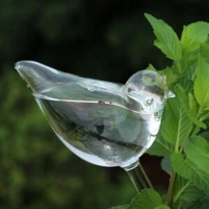 Ampoules en verre pour plantes à arrosage automatique