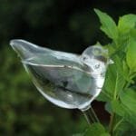 Ampoules En Verre Pour Plantes à Arrosage Automatique