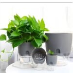 Pot de fleur transparent durable pour l'intérieur et l'extérieur
