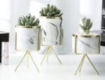 Vase En Marbre Nordique