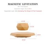 elegant levitating planter for small plants and succulents 245 1