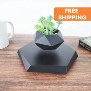 Jardinière En Lévitation élégante Pour Petites Plantes Et Plantes Succulentes