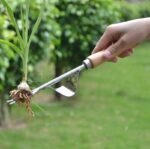 ergonomic stainless steel weeder with wooden handle 386 1
