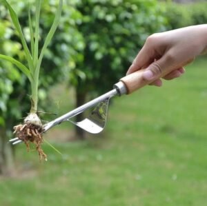 ergonomic stainless steel weeder with wooden handle 386 1