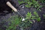 ergonomic stainless steel weeder with wooden handle 861 1