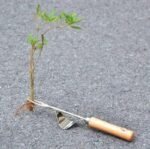 ergonomic stainless steel weeder with wooden handle 986 1