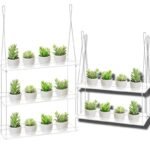 étagère à Plantes Multi-niveaux Pour Fenêtres élégantes Et Pratiques
