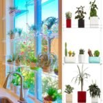 étagères En Acrylique Transparent Pour Plantes De Fenêtres élégantes