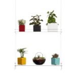 étagères En Acrylique Transparent Pour Plantes De Fenêtres élégantes
