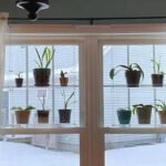 étagères En Acrylique Transparent Pour Plantes De Fenêtres élégantes