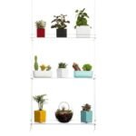 étagères En Acrylique Transparent Pour Plantes De Fenêtres élégantes
